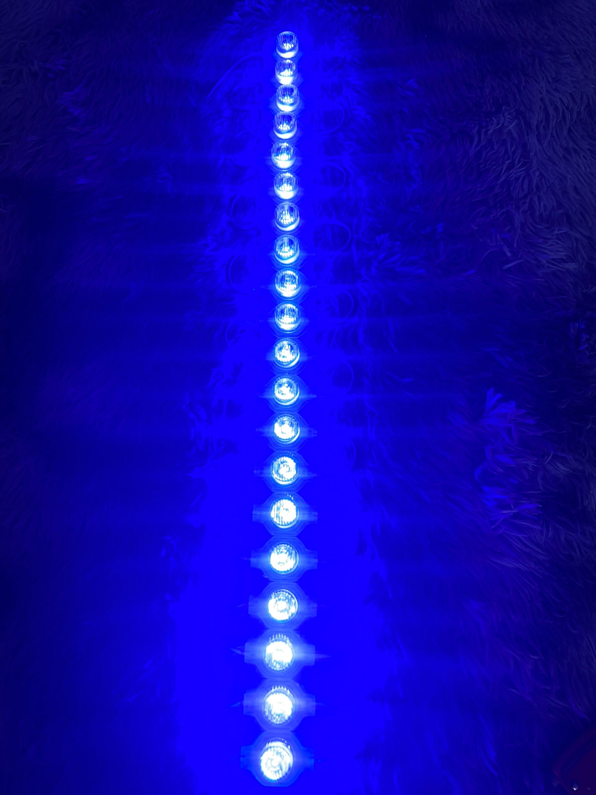 Led rọi mắt trâu 1.5W DC12V 1 vỉ 20 bóng siêu sáng sử dụng cho bảng quảng cáo..