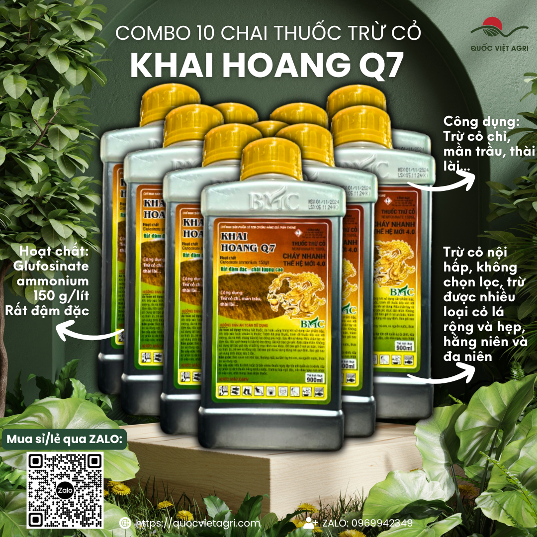 (Combo 10 chai) Thuốc trừ cỏ KHAI HOANG Q7 (chai 900ml) - Diệt trừ cỏ chỉ mần trầu và các loại cỏ kh