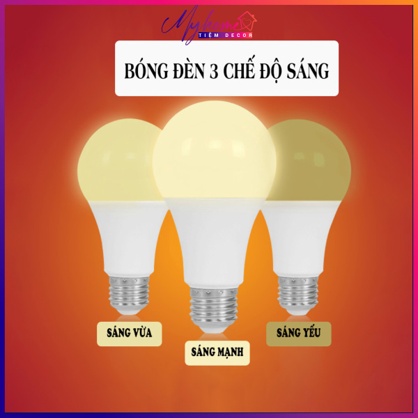 Bóng đèn LED ánh sáng vàng dùng cho đèn ngủ có chế độ tăng giảm sáng tiện lợi My Home DN040