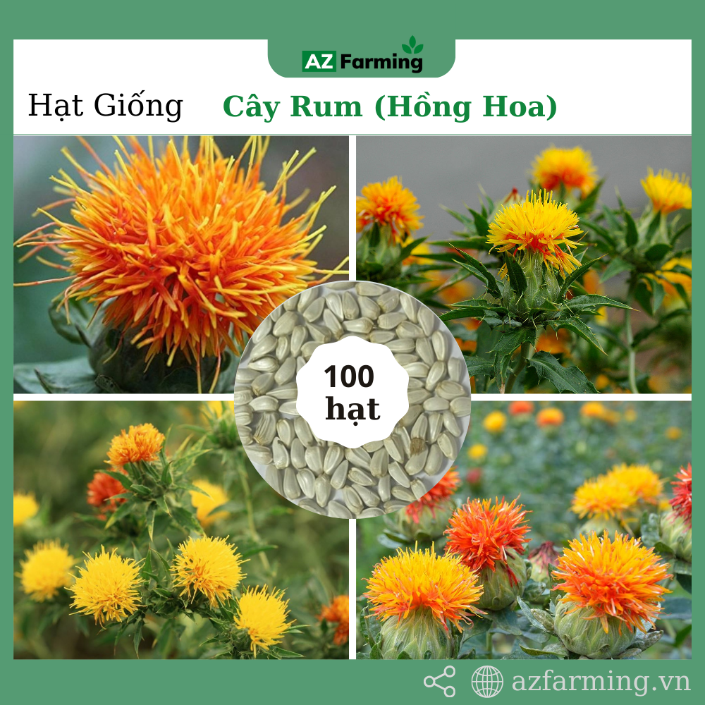 Hạt Giống Cây Hoa Rum (Hồng Hoa) - Gói 100 Hạt - AZ Farming
