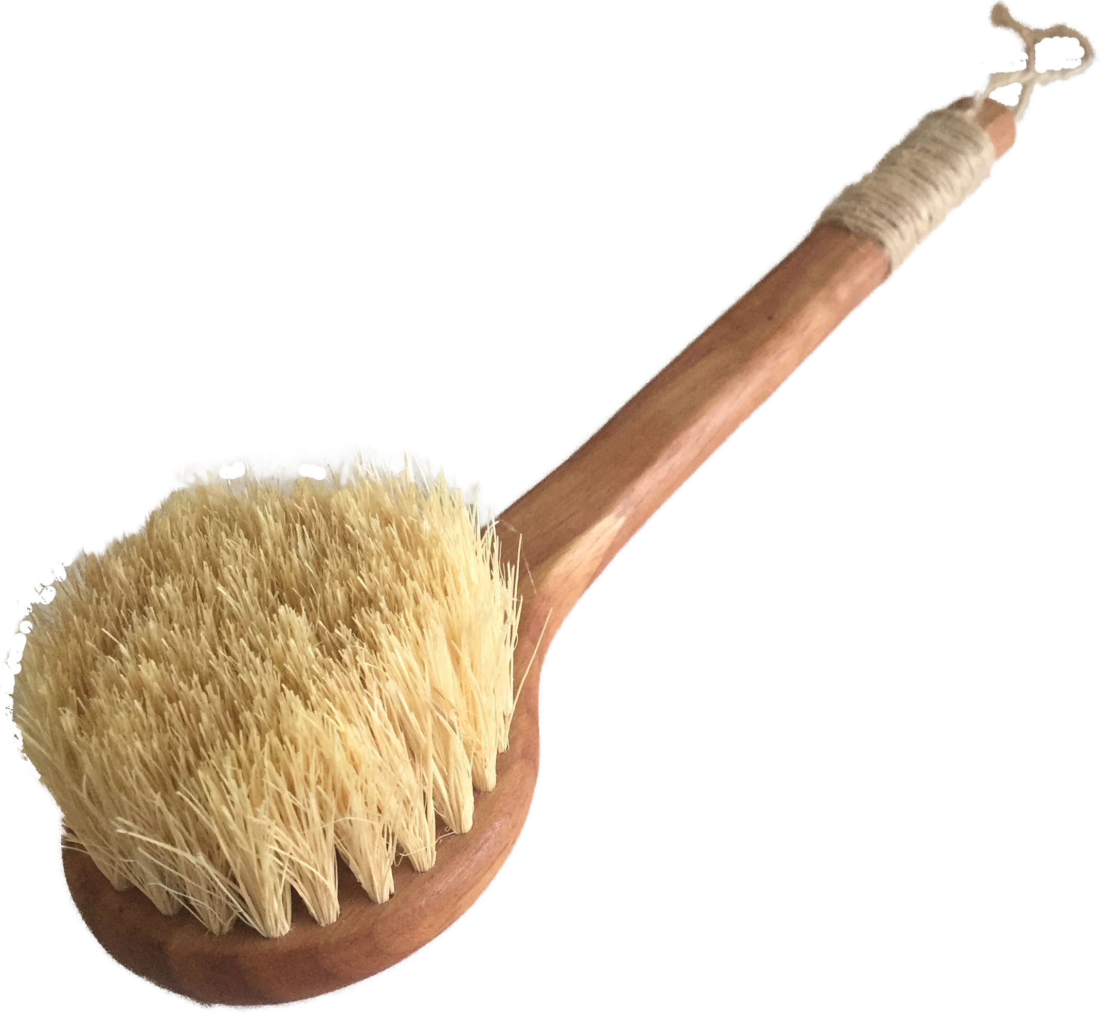 Bàn chải tắm khô Vegan lông bằng sợi xương rồng keo và sơn phủ 100% tự nhiên - Ekoko Cactus Bristles Dry Brush