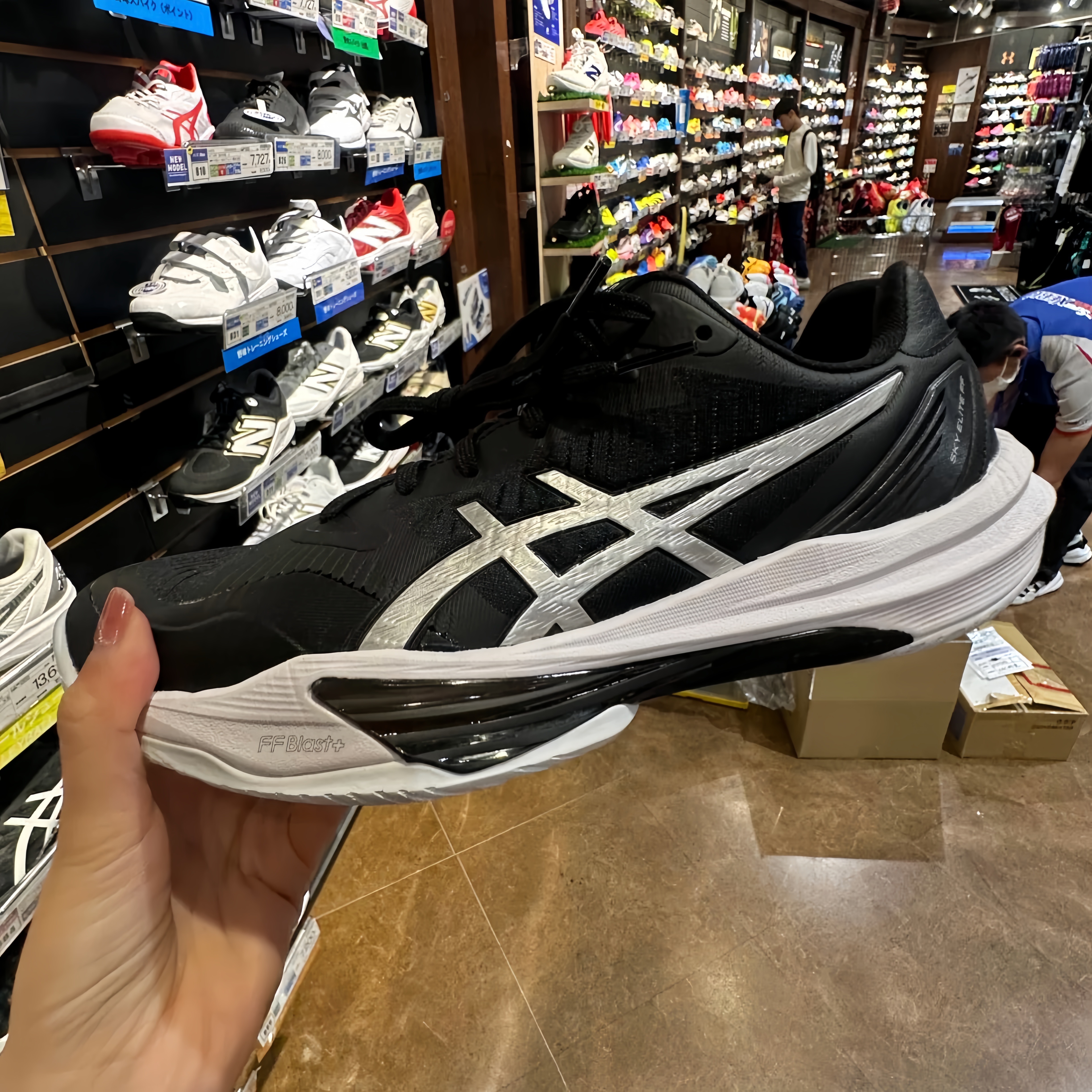 New Edition - Giày cầu lông/bóng chuyền/bóng rổ nam 𝗰𝗵𝗶́𝗻𝗵 𝗵𝗮̃𝗻𝗴 Asics Elite Sky FF3 [𝘁𝗮̣̆𝗻𝗴 𝗸𝗲̀𝗺 𝘁𝗮