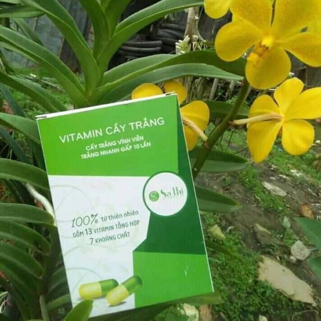 Vitamin Cấy Trắng Sa Thi Loại 20 Viên