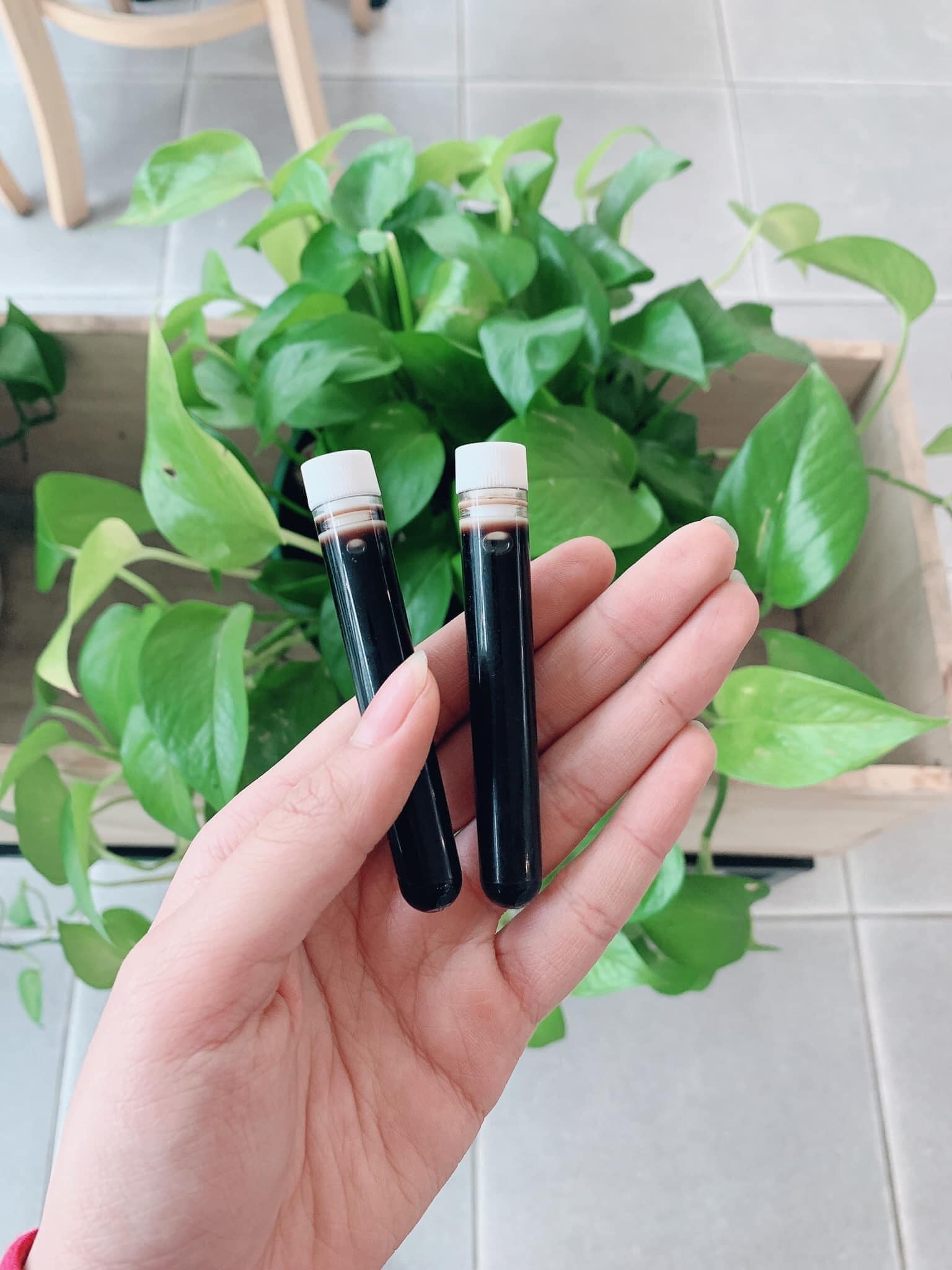 Cao Lá Nam - Chuyên Sỉ - Huyet Thanh Cao Lá Nam Loại Bỏ Mụn Đầu Đen Serum Dưỡng Da Mặt Chăm Sóc Da Tinh Chất Thu Nhỏ Lỗ Chân Lông Trên Khuôn Mặt Chăm Sóc Da Làm Sạch Lỗ Chân Lông Sạch Mụn Trứng Cá Loại Bỏ Mụn