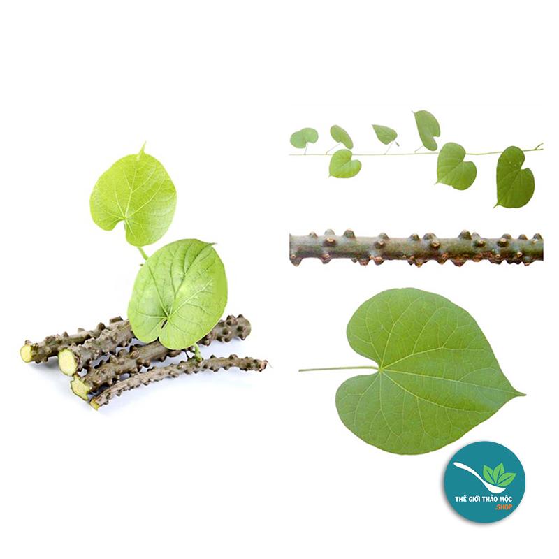 Cây Thần Thông Khô 1KG - TM120