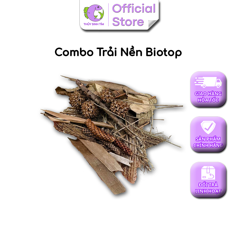 Combo Trải Nền Biotope Trang Trí Bể