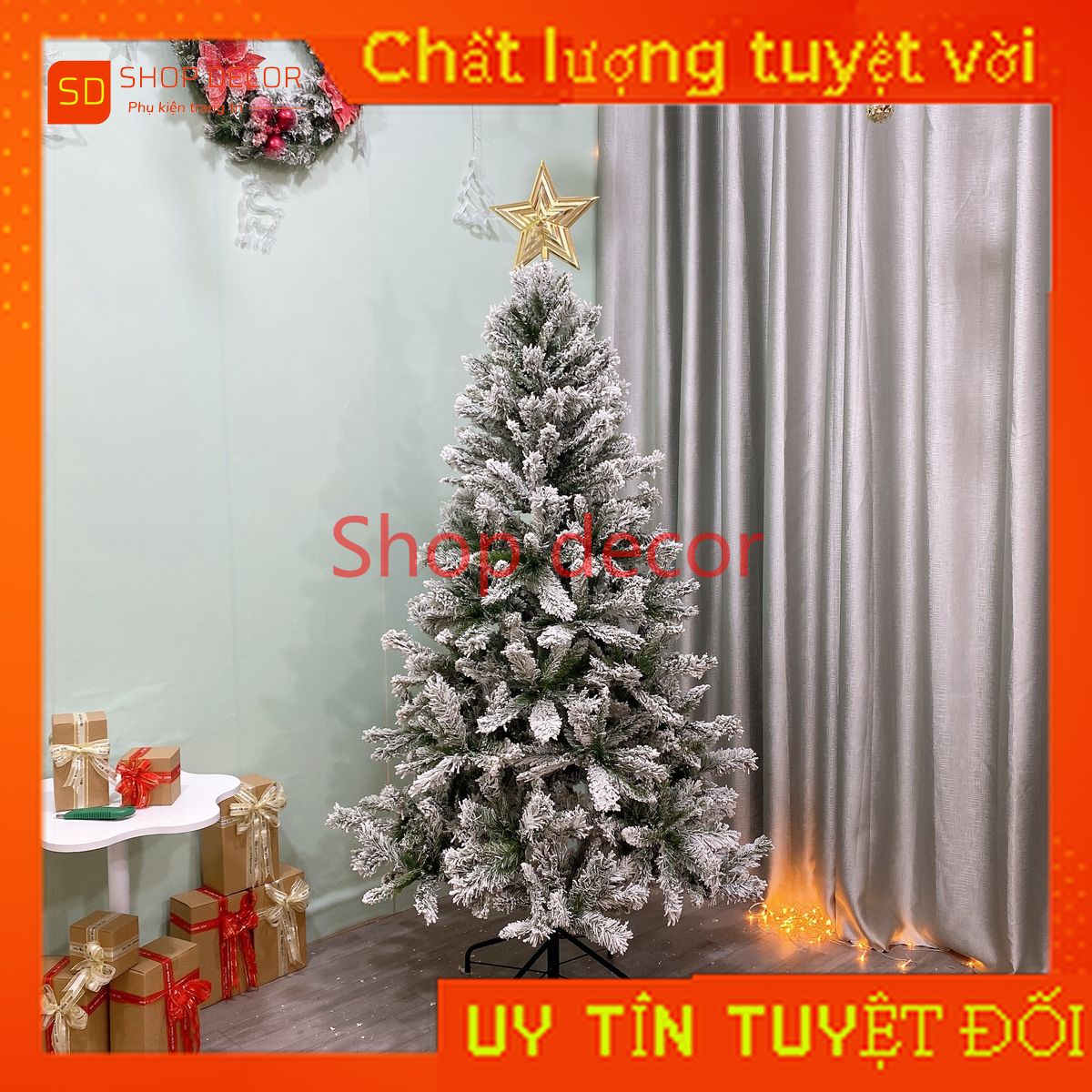 Cây thông noel xanh phủ tuyết 1M8 tán dày rộng nhiều nhánh hàng chaang chiia việt nam xuất khẩu cây 