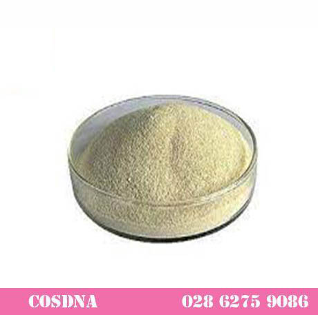 Chất L&Agravem Đặc Sodium Alginate