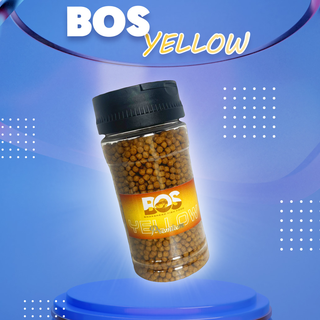 Cám Chiết BOS Dành Cho Các Loại Cá Lóc Xanh Đỏ Vàng Hũ 60g.  Hỗ Trợ Tăng Màu Tăng Kích Thước Vây Kỳ 