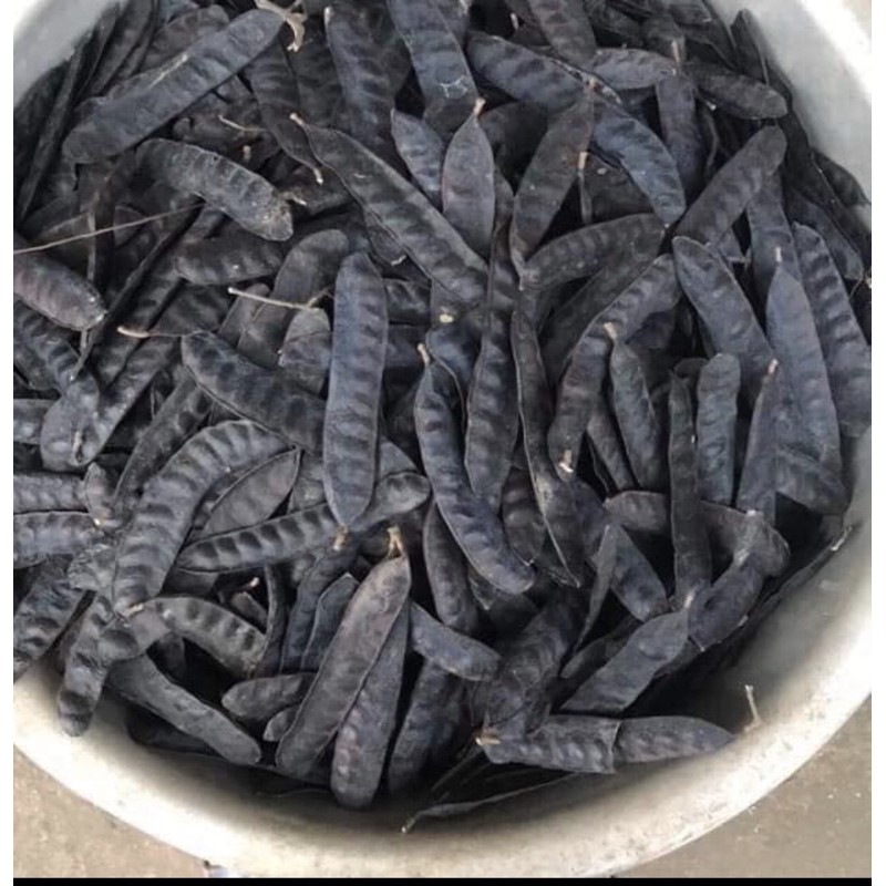 Trái bồ kết khô 500gr - Trái to đẹp