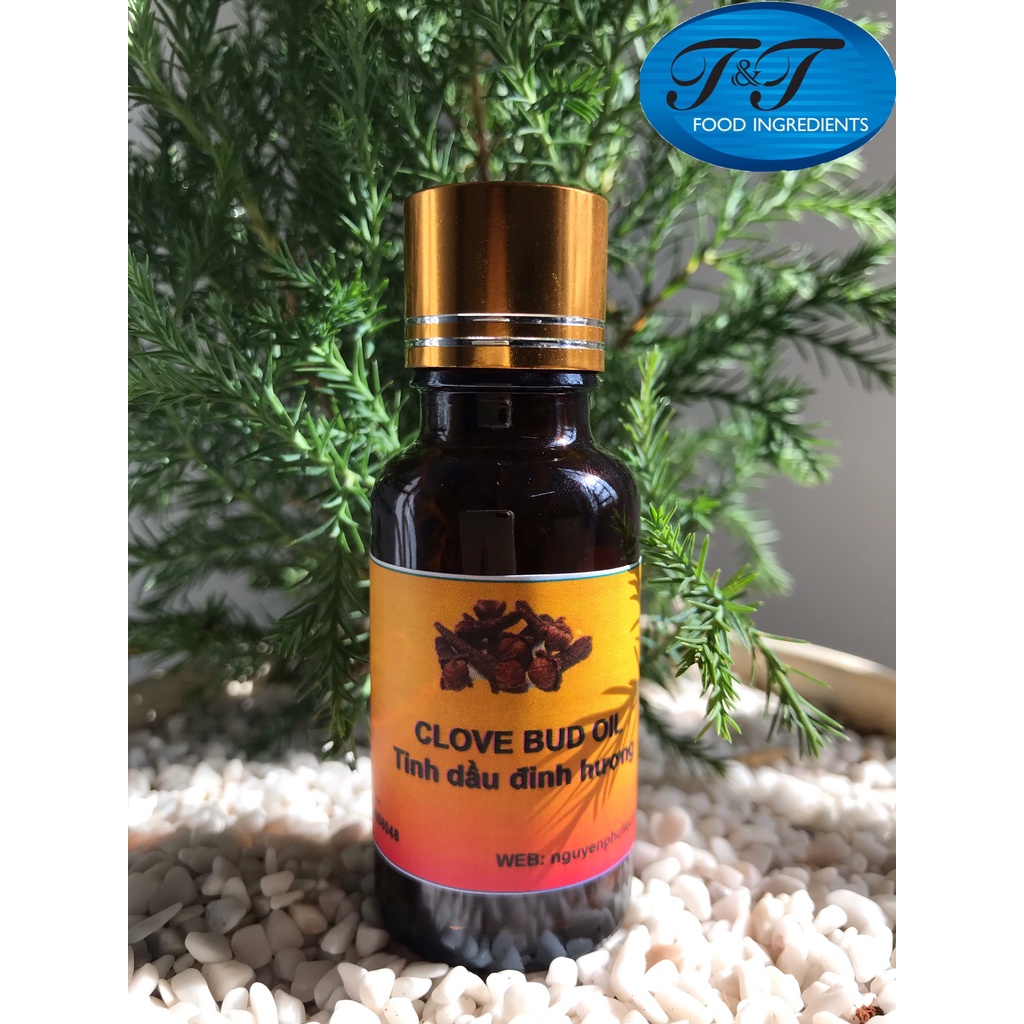 Tinh dầu Đinh Hương - Clove Essential Oil