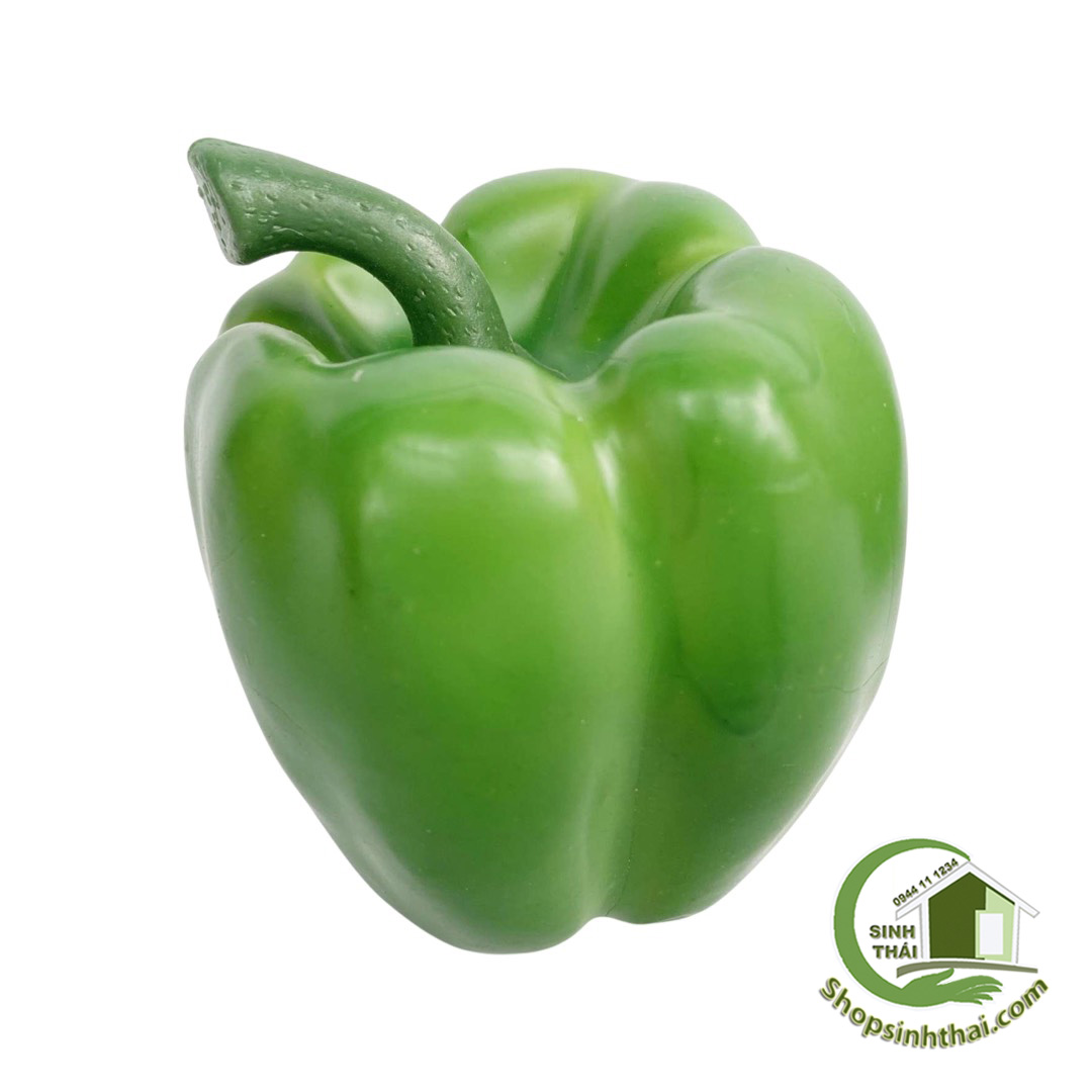 Trái ớt chuông xanh - quả ớt đà lạt - Trái cây rau củ quả giả cao cấp