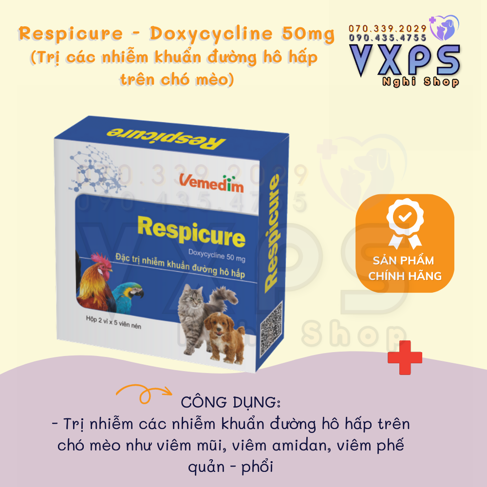 Kháng sinh respicure