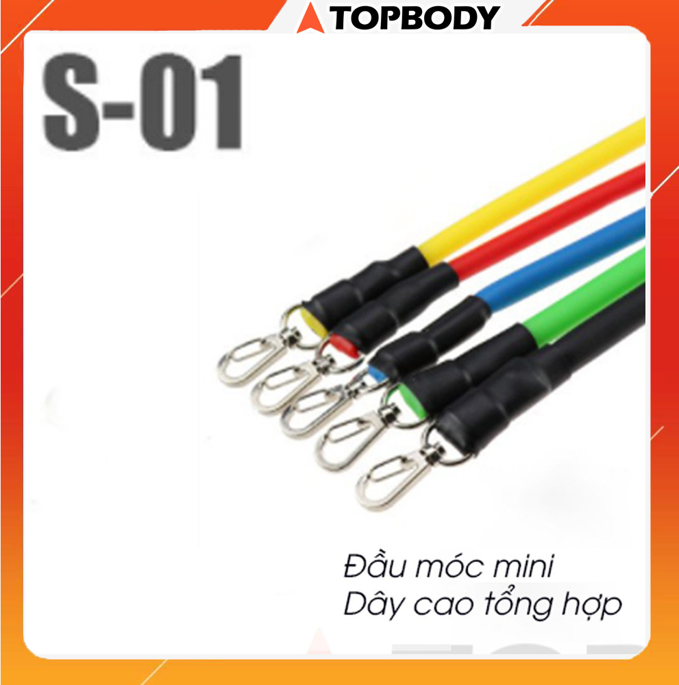 Bộ 5 dây ngũ sắc tập full body tại nhà - ngũ sắc đàn hồi kháng lực tập Gym  Fitness  Yoga TOPBODY - 