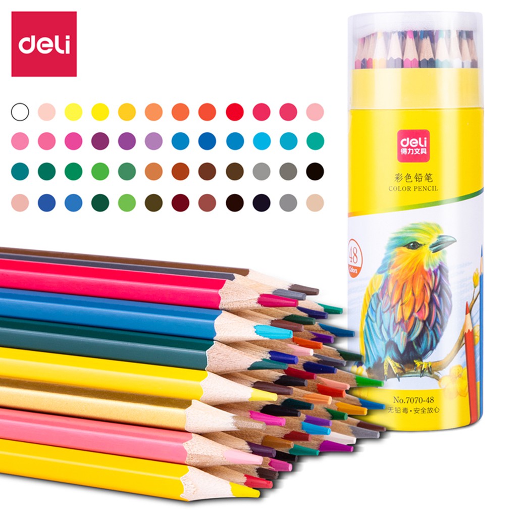 Bút chì màu gốc dầu/gốc nước dạng cốc Deli - bút chì màu học sinh màu sắc sống động chuyên vẽ mỹ thuật vẽ tranh chuyên nghiệp - 12/24/36/48 màu - 7070/68129