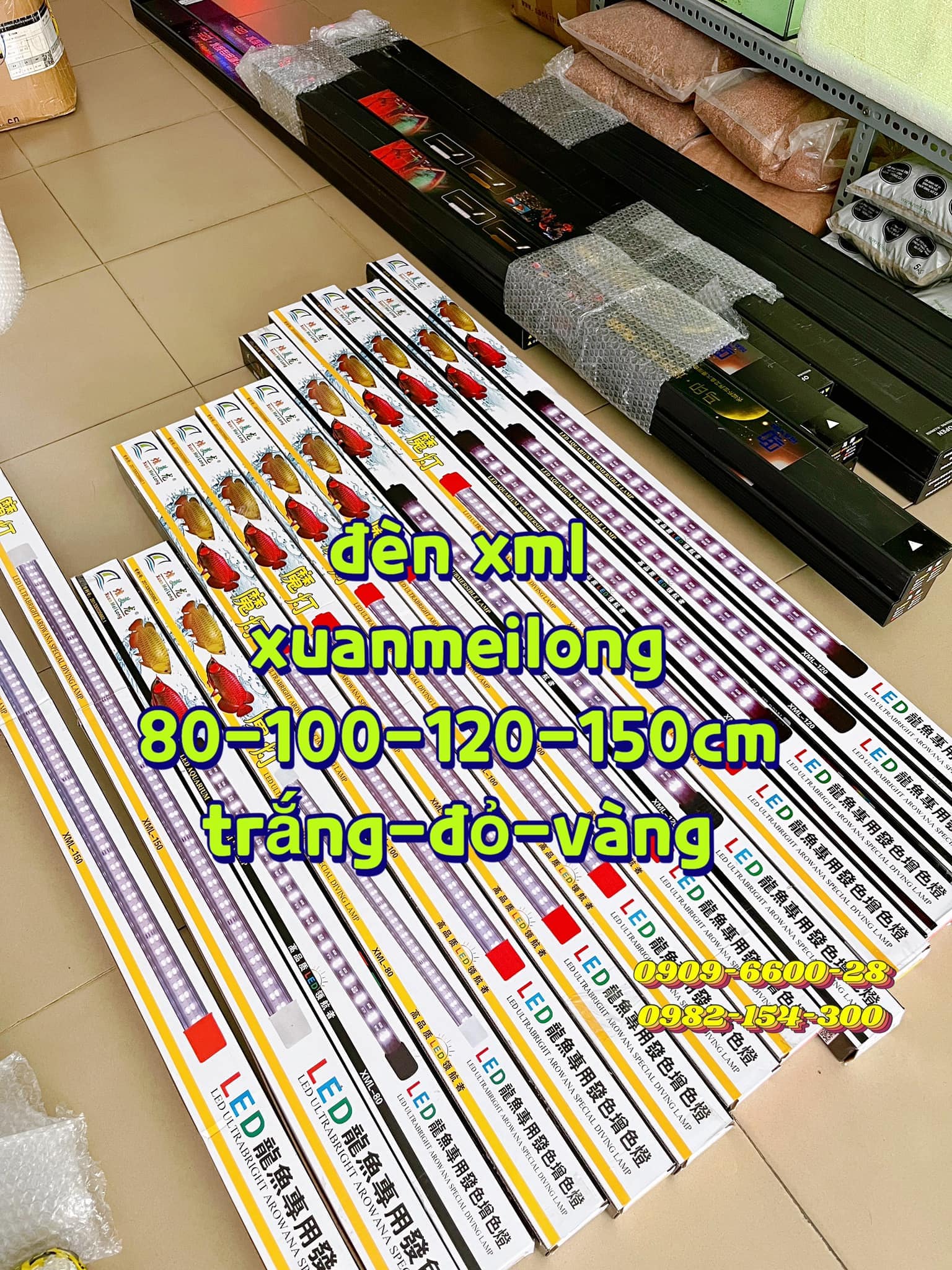 đèn led Mayin xml No1 T10 kaokui - trắng đỏ vàng - 3 chế độ - giá treo đèn tanning cá rồng mayin sup