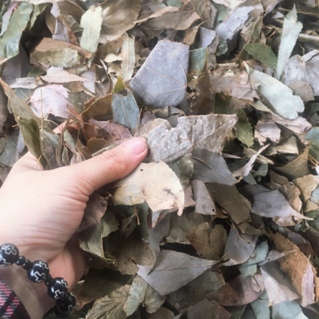 200gr dâm dương hoắc đã cắt sạch cuống