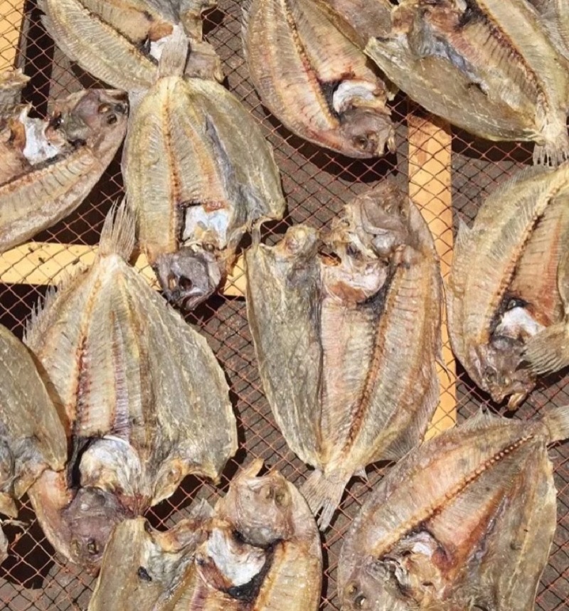 Khô Cá Ngộ( Khô Cá Dảnh) Hàng Loại Ngon Đặc sản  Phan Thiết
