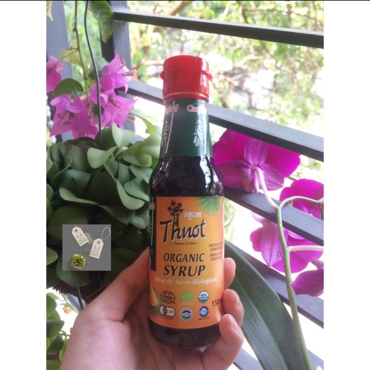 Syrup Thốt Nốt Hữu Cơ - Mật Thốt Nốt