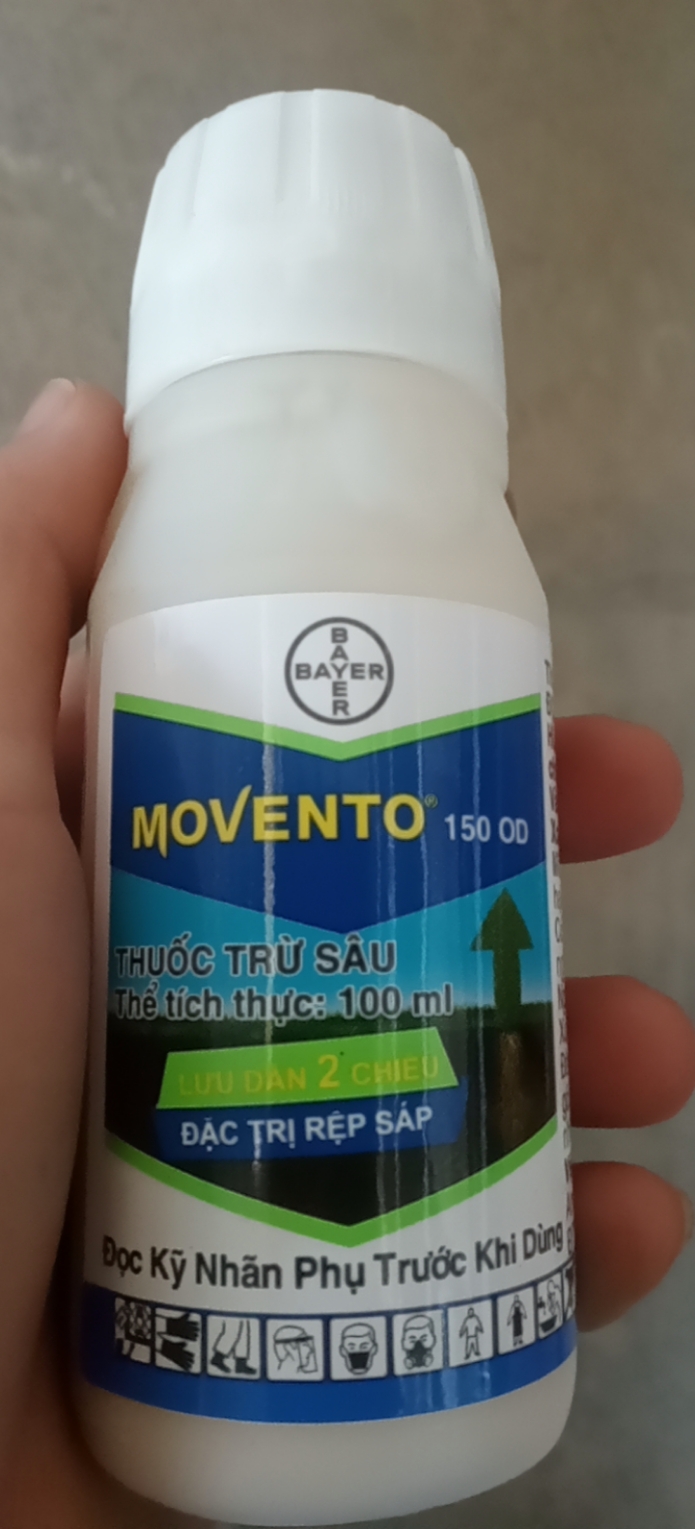 Thuốc Trừ Rệp Sáp Và Bọ Trĩ Movento 150 OD thể tích 100ml