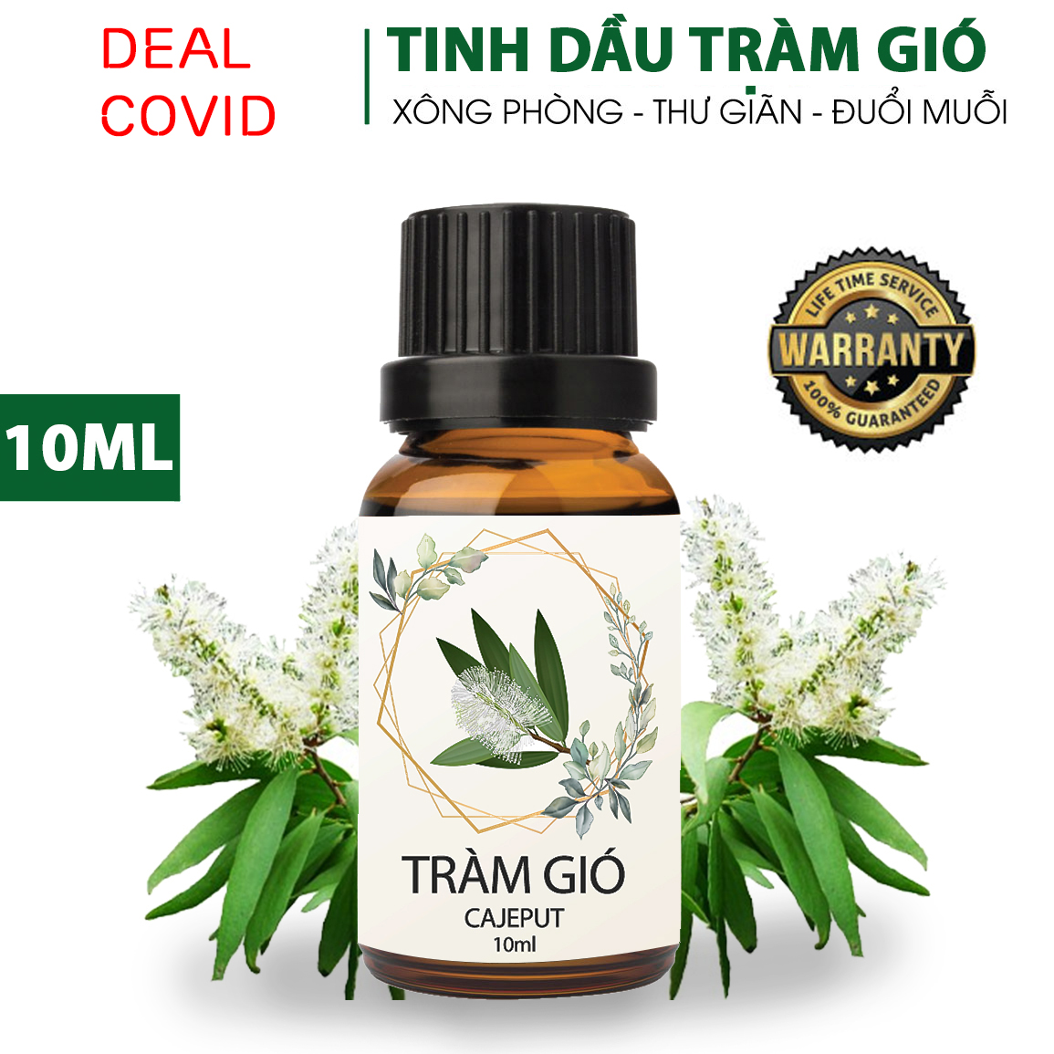 Tinh Dầu Tràm Gió Diệt Khuẩn Giải Cảm Guty Oils Nguyên Chất Dùng Cho Đèn Xông Tinh Dầu Xông Phòng Tinh Dau Khử Mùi Làm Thơm Phòng Đuổi Côn Trùng Giúp Thư Giãn Xông Mặt Chống Ngạt Mũi Ho Viêm Xoang