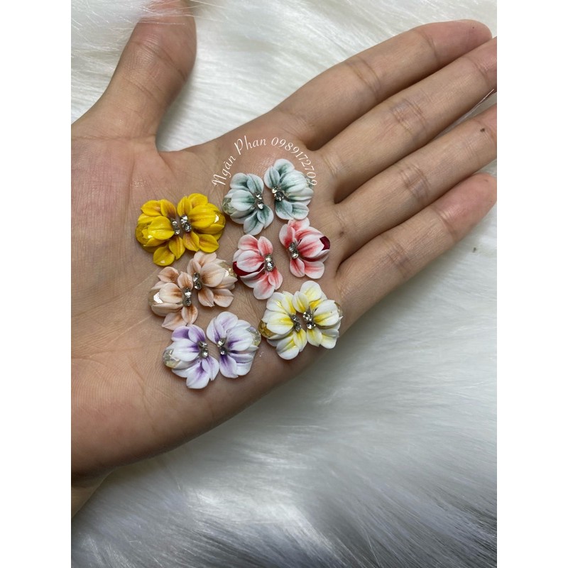 2Hoa Cúc Gân Ôm Đá Khối