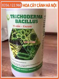 Chế phẩm Trichoderma Bacillus dạng nước ức chế nấm chai 100ml