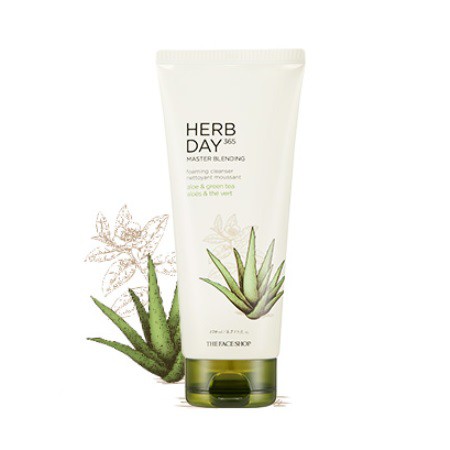 Sữa rửa mặt lô hội The Face Shop Herb Day Aloe 170ml – Hàn Quốc