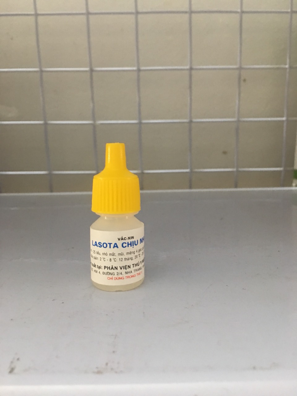 Lasota chịu nhiệt 25 liều dùng cho gà chim