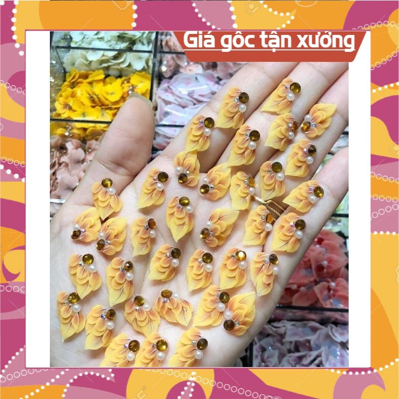 Hoa bột gắn móng TDC SHOP