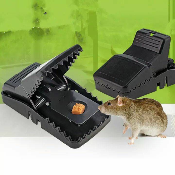 bẫy chuột nhựa đen thông minh