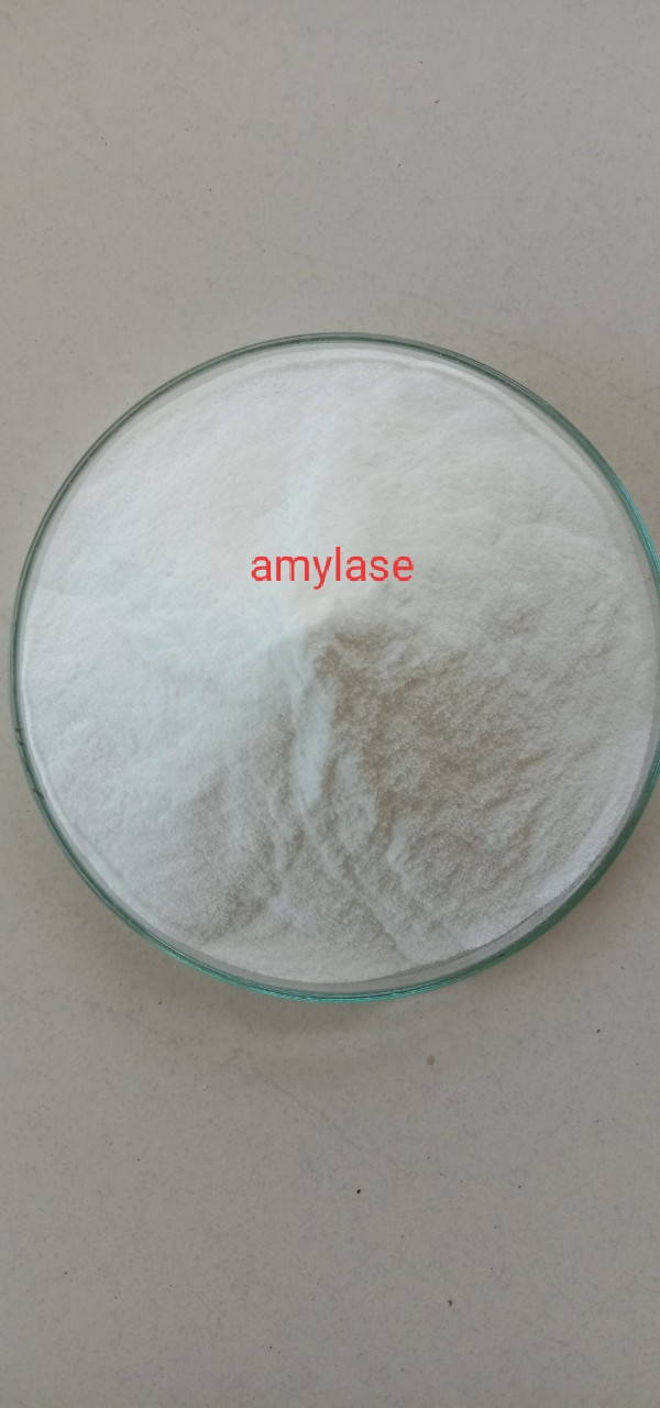 MEN VI SINH Enzyme Amylase 5.000 Ui/G - 5kg