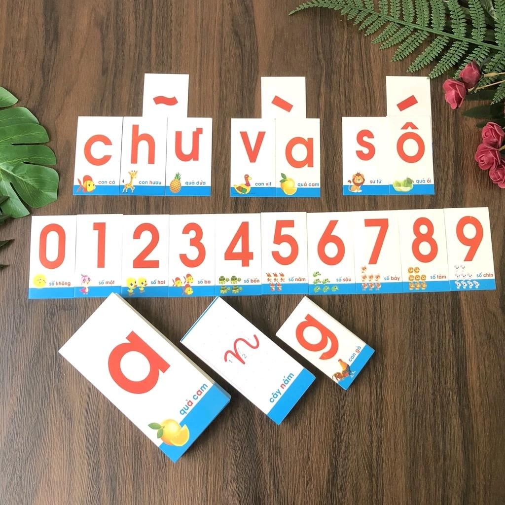 Bộ 44 Thẻ Học Flashcard Thông Minh Tổng Hợp Chữ Cái và Số Đếm Cho Bé