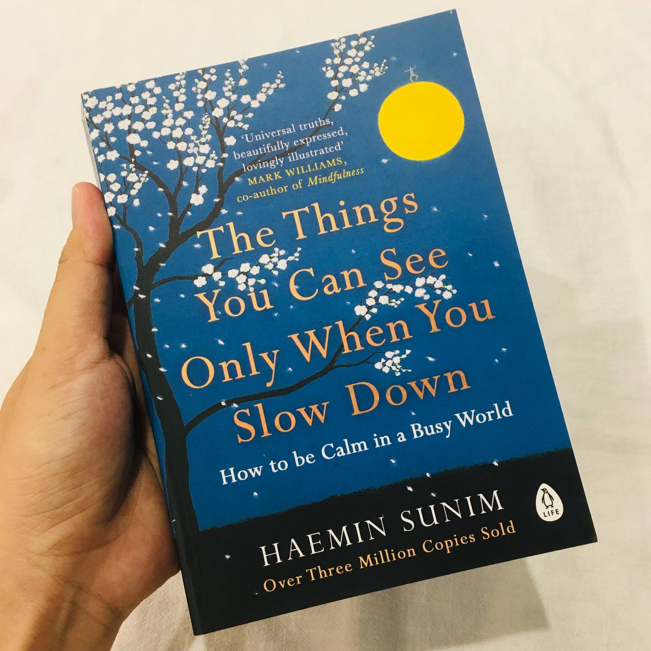 Sách The Things You Can See Only When You Slow Down: How to be Calm in a Busy World by Haemin Sunim