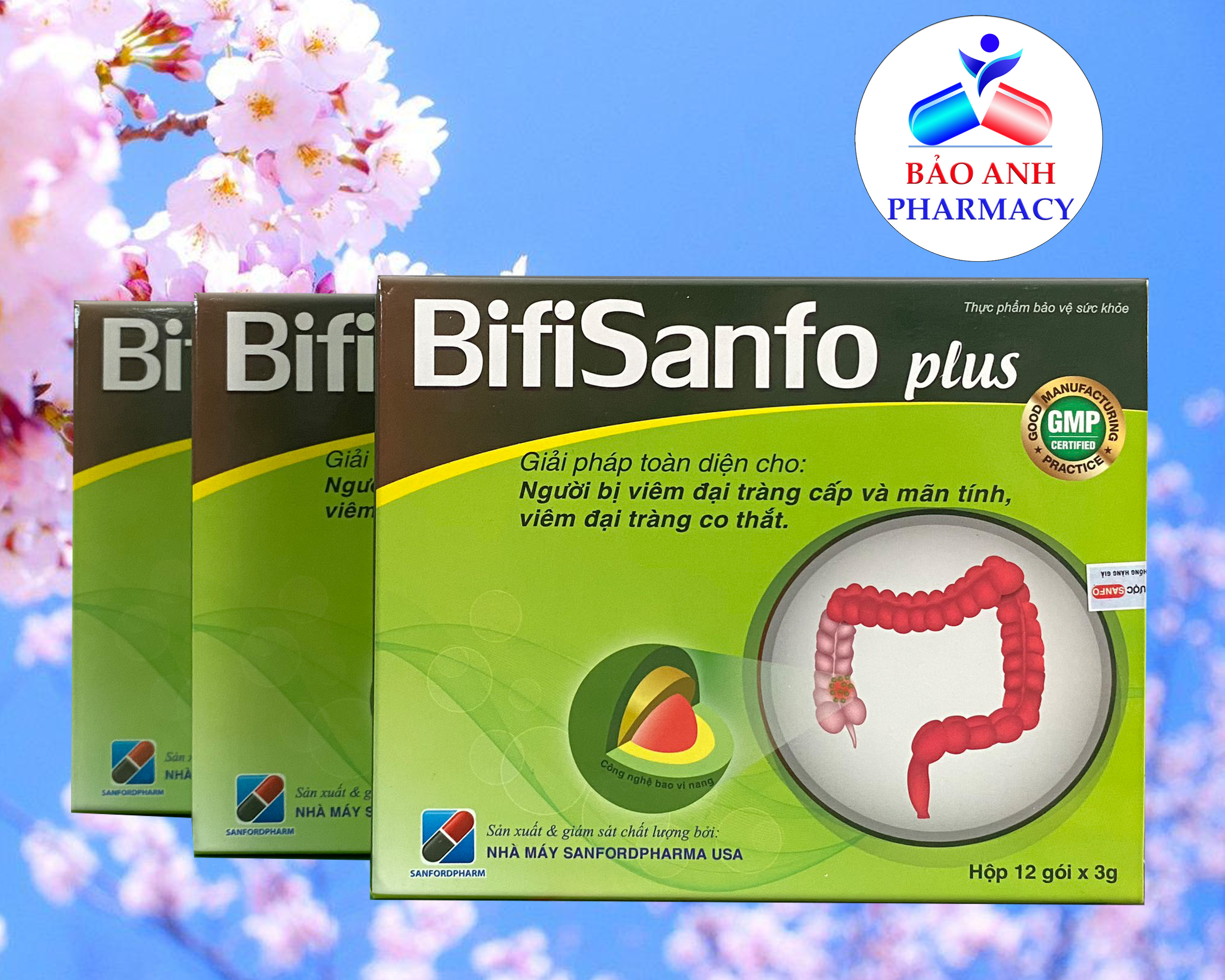 Bidisanfo Plus - Men Vi Sinh Hỗ Trợ Ruột Kích Thích Và Đại Tràng Cấp Mạn Tính