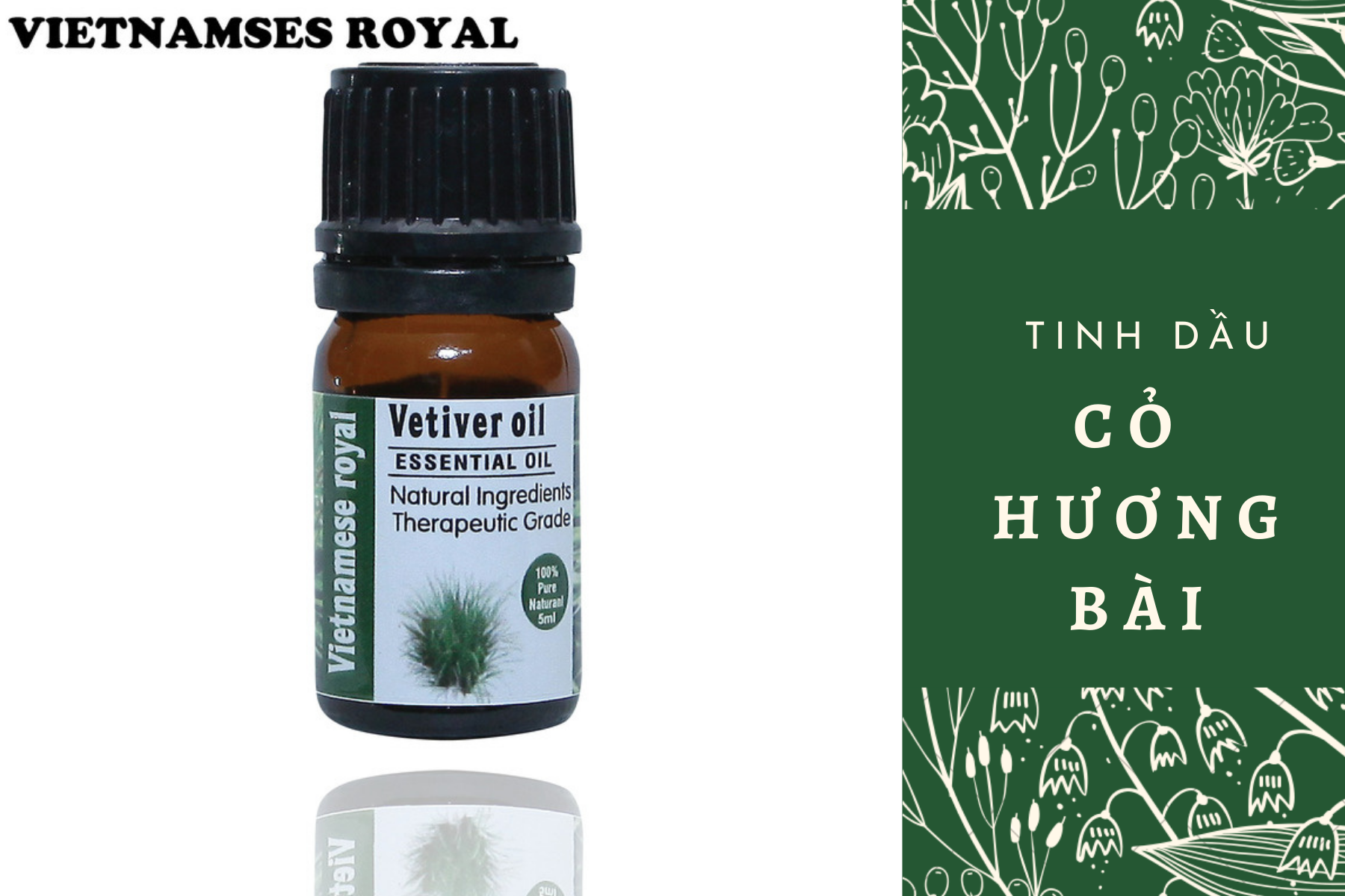 Tinh Dầu Cỏ Hương Bài - Vetiver Essential Oil