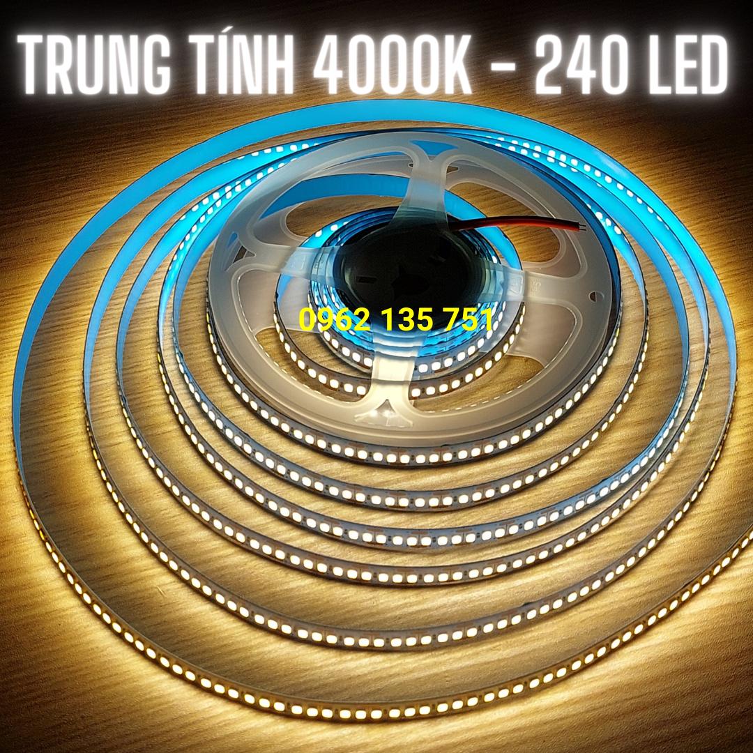 Cuộn LED dây dán 12V 2835 Trắng / Vàng / Trung Tính 5m - 120 LED/mét