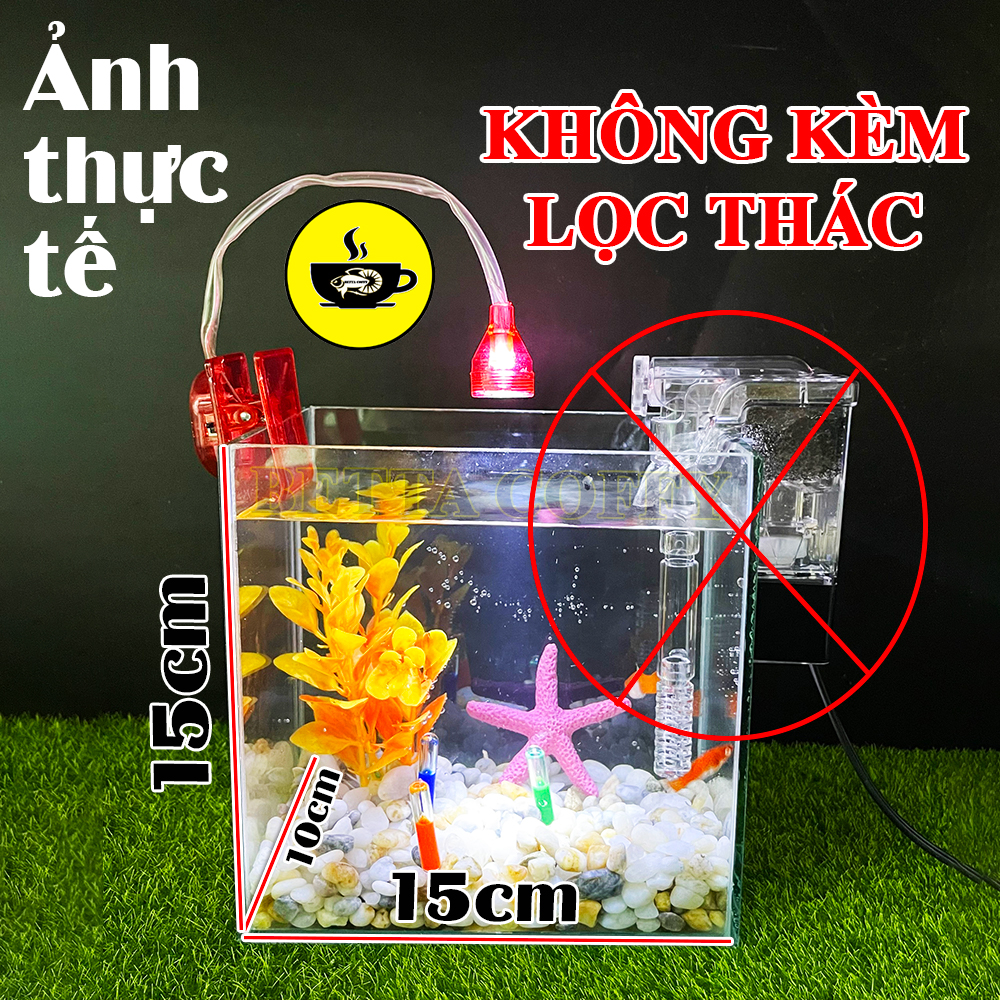 Combo Hồ Cá Betta + Phụ Kiện Đèn Cây Sỏi Trang Trí Bể Cá Kính