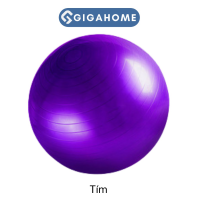 Bóng Tập Yoga Tập Gym Pilates GIGAHOME Cap Cấp 75cm Dày 2cm Chống Nổ 5336