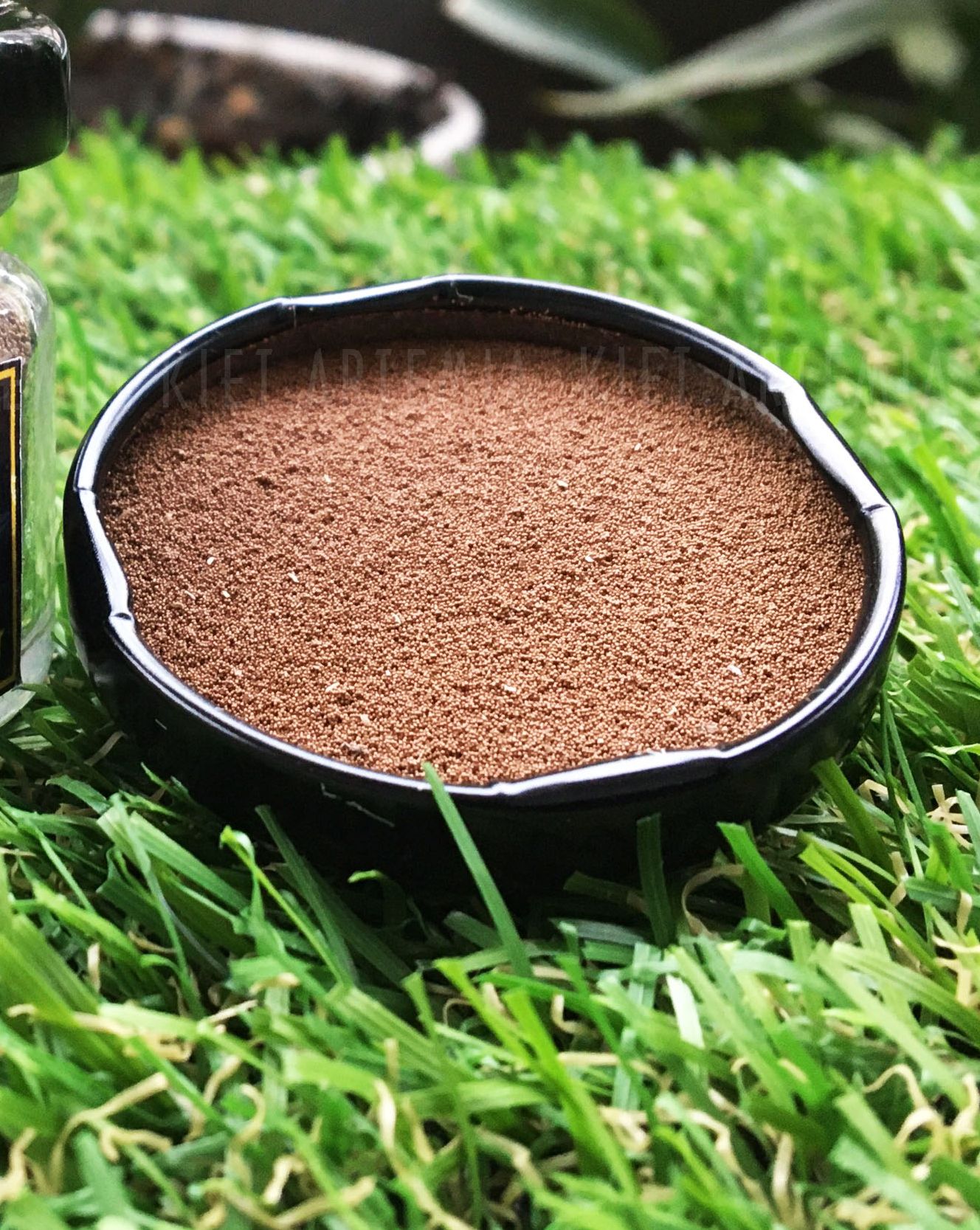 Artemia Vĩnh Châu 2nd - Trứng Artemia Vĩnh Châu Tỉ Lệ Cao