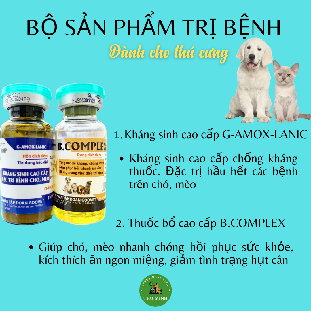 G-AMOX-LANIC + B.COMPLEX  lọ 10 ml dành cho chó mèo chim cảnh