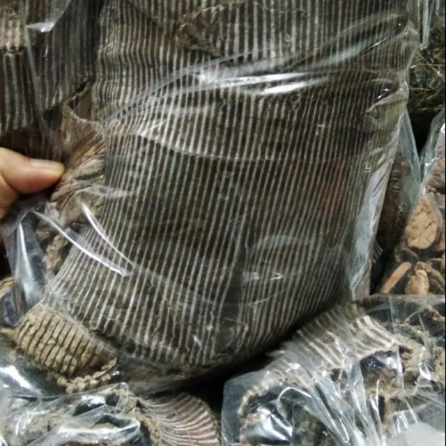 Cây đỗ trọng 100g NGÂM RỊU CỰC TỐT