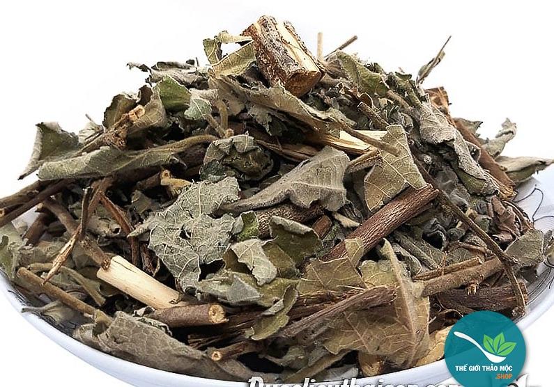 Cây An Xoa khô 1KG - TM009