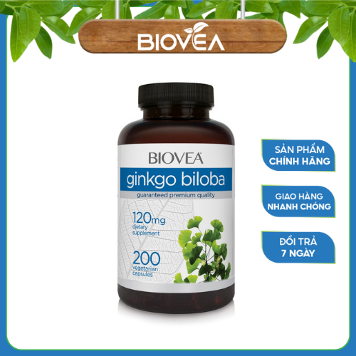 Viên Uống Ginkgo Biloba ?Hàng Đức? Viên Uống Bổ Não - Ngăn Ngừa Đột Quỵ Cải Thiện Tinh Thần Giảm Đau Mỏi Vai Gáy Hỗ Trợ Người Thường Xuyên Đau Đầu Hoa Mắt Mất Ngủ Mất Thăng Bằng Cơ Thể Suy Giảm Trí Nhớ