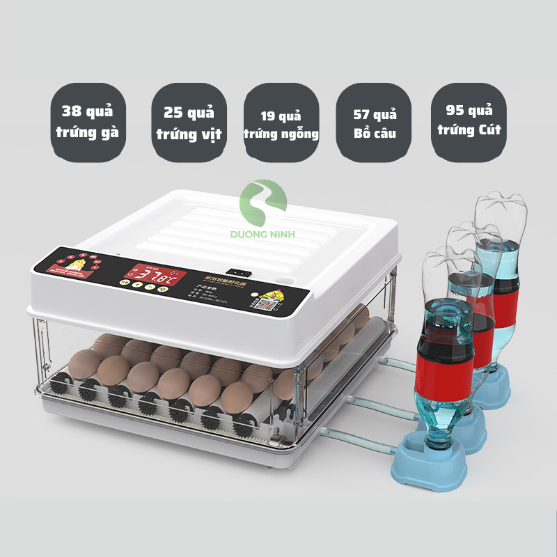 Máy ấp trứng gà tự động máy ấp trứng tự đảo ấp trứng thông minh 220V - 12v hiện đại
