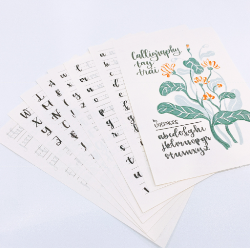 Bộ Giấy Luyện Chữ Calligraphy Brush Lettering Nhiều Font - Tập Luyện Viết Calligraphy - Hidari &amp; Vyspages