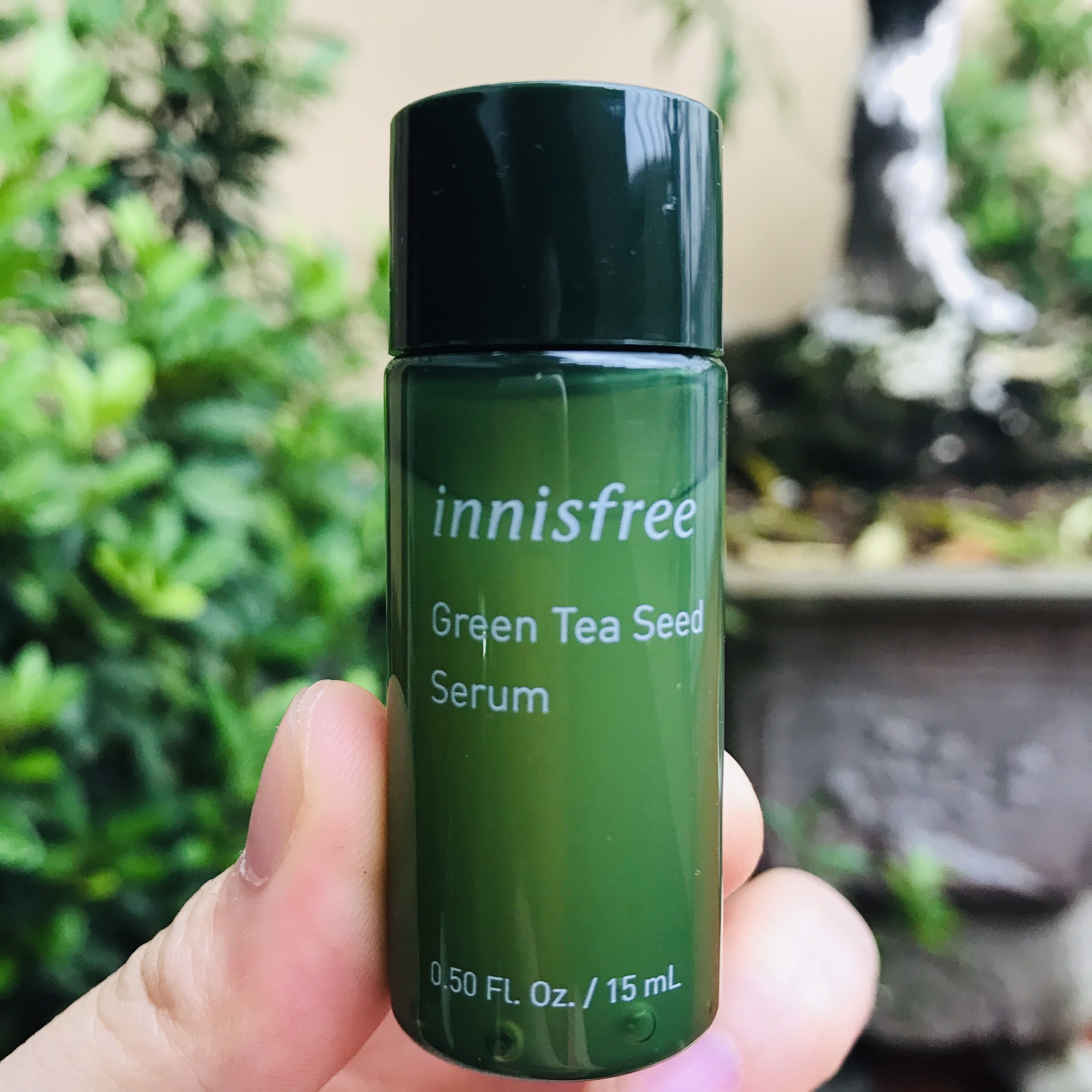 Tinh Chất Dưỡng Da Hạt Trà Xanh Innisfree Green Tea Seed Serum (15Ml)