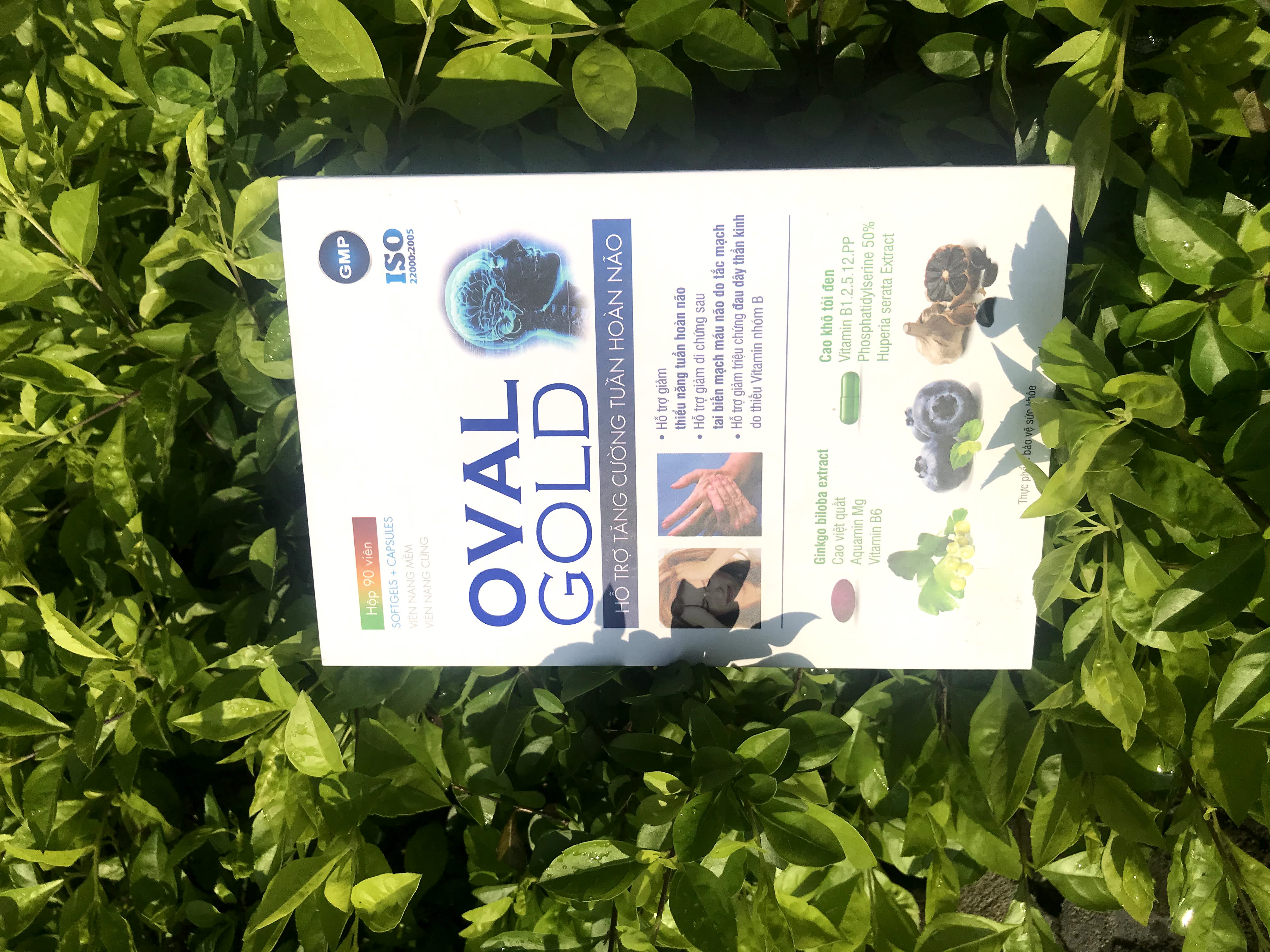 Hỗ Trợ Trí Não Oval Gold