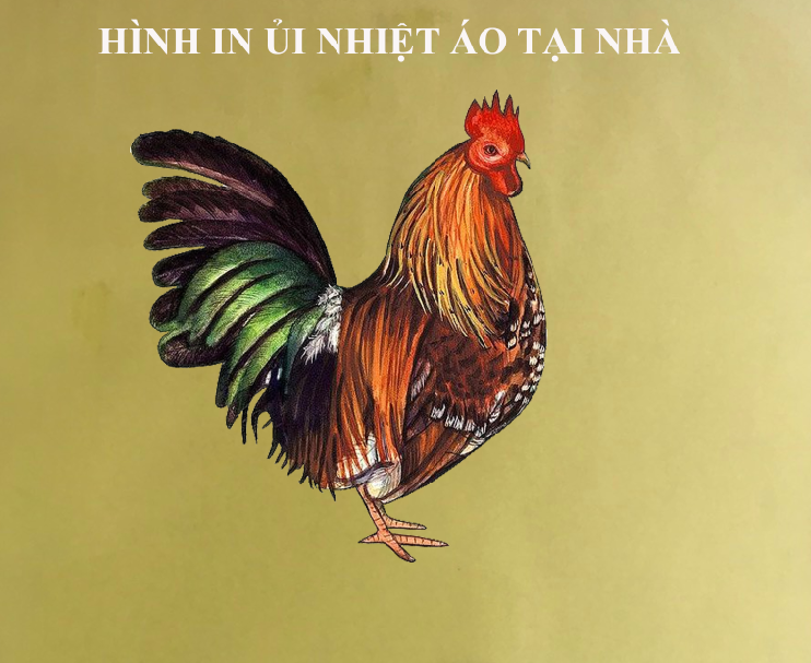 Sticker CON GÀ-khuyến mãi -HÌNH IN ỦI NHIỆT- in pet chuyển nhiệt- ủi trực tiếp lên vải áo bằng bàn ủibàn là tại nhàhình in rất đẹp-MAJESTIC.CLOLUCK