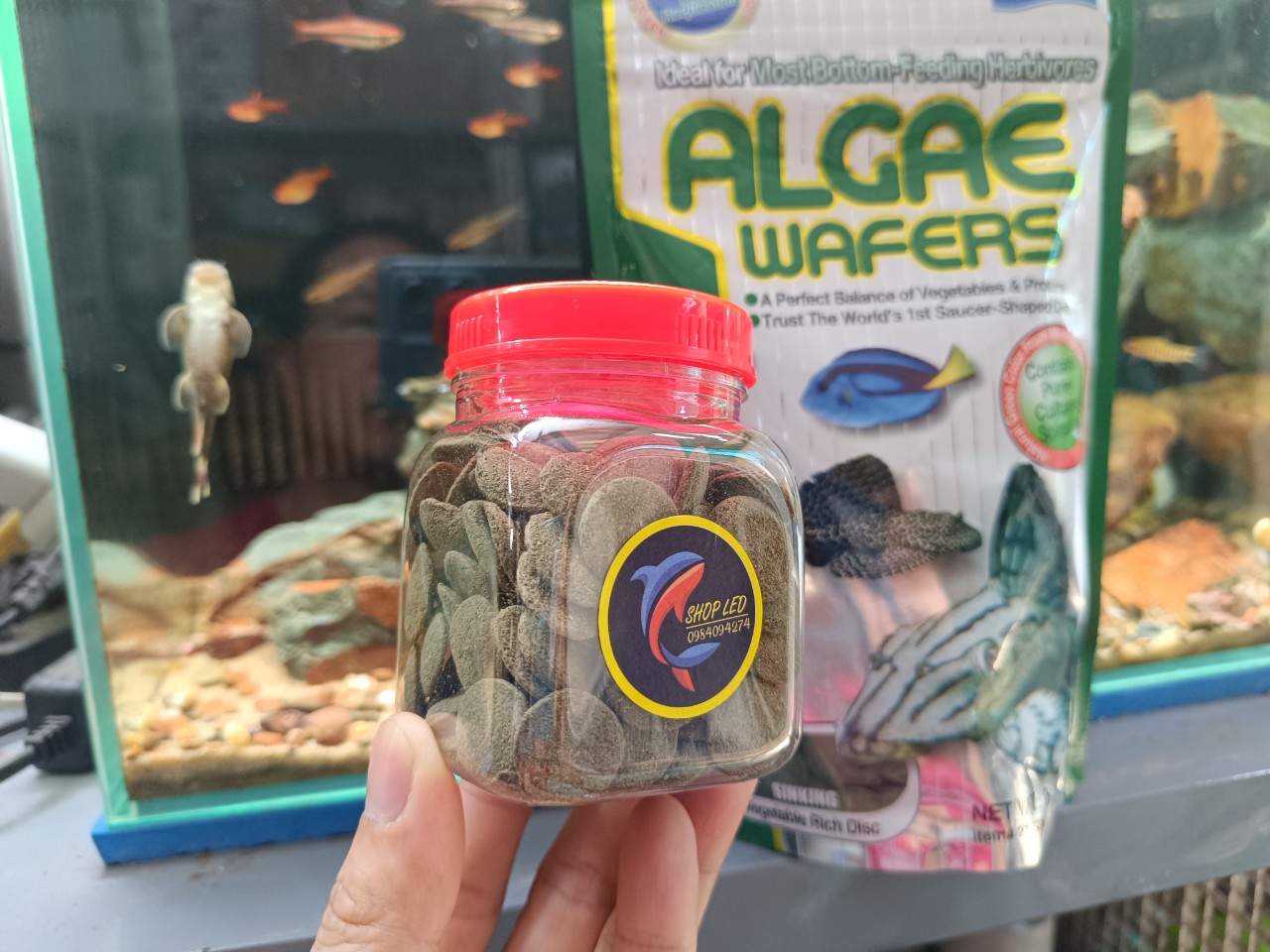 [Hoàn Tiền 10%]Thức Ăn Pleco - Hikari ALGAE WAFERS - Thức ăn cá pleco cao cấp - cá chuột - pleco - c